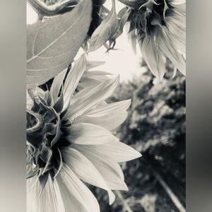 Meet your Posher, Leanna